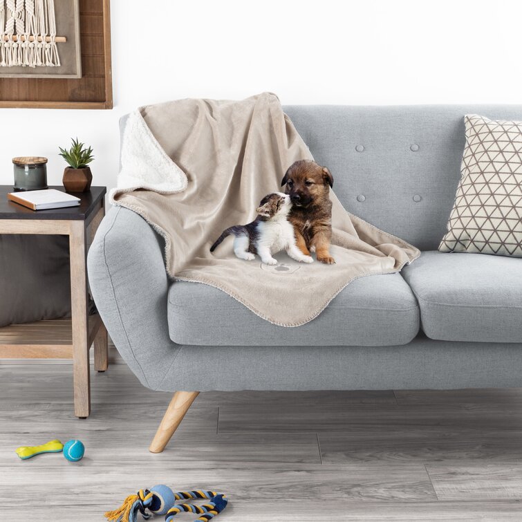 Dog blanket best sale for couch